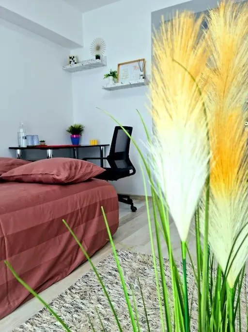 Ultracentral Magheru Studio Apartment Bucharest